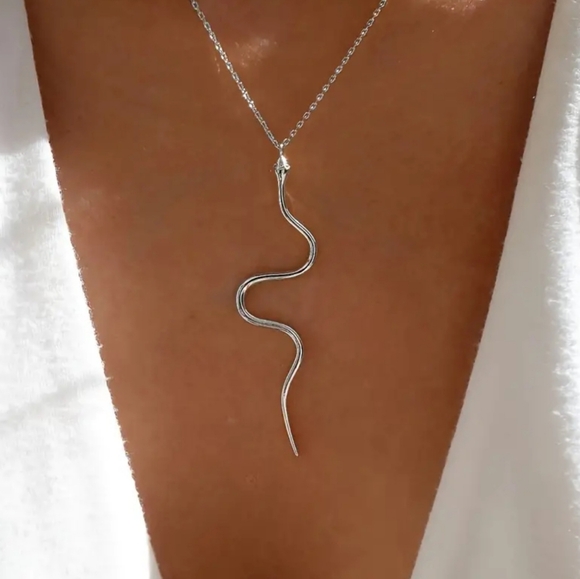 Snake Pendant Necklace silver tone - Picture 5 of 5